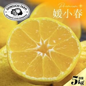 【数量限定】老舗農家が見極めたプレミアム【媛小春5kg】 愛媛県新品種【G70-101】【1671405】