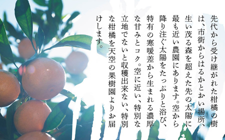 天空の果樹園から届く そらせとか【訳あり】 (3kg)【C95-3】【1668442】