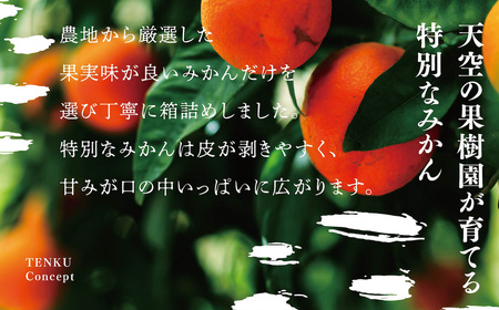 天空の果樹園から届く そらせとか【訳あり】 (3kg)【C95-3】【1668442】