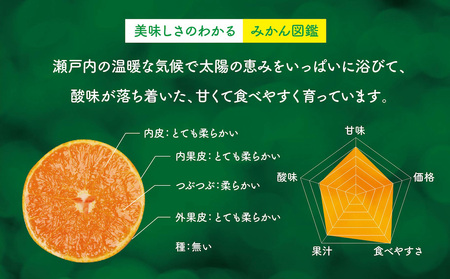 天空の果樹園から届く そらみかん (5kg)【訳あり】【A95-4】【1668469】