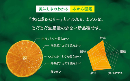 天空の果樹園から届く そらまどんな(3kg)【訳あり】【C95-5】【1668478】