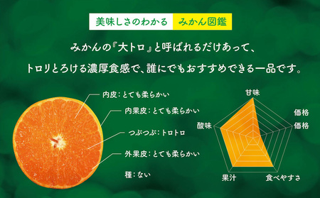 天空の果樹園から届く そらせとか (5kg)【訳あり】【D95-8】【1668516】