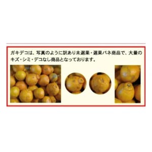 【訳あり】不知火(しらぬい)10kg【C21-51】【1677015】