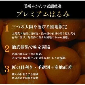 老舗農家が見極めたプレミアム【はるみ3kg】【希少・プチプチ食感】【C70-130】【1684351】