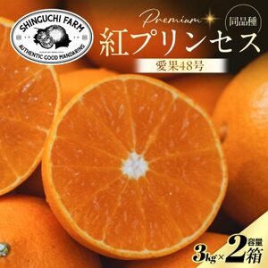 【紅プリンセスと同品種】「甘平×まどんな」愛果48号【3kg×2箱】【家庭用】【H70-112】【1683893】