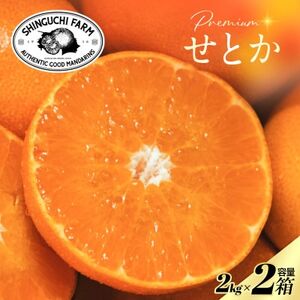 【数量限定】五代目が厳選した「柑橘の大トロ」2kg×2箱【F70-114】【1683910】