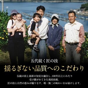 【数量限定】五代目が厳選した「柑橘の大トロ せとか」3kg×2箱【H70-115】【1683912】