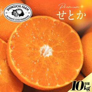 【数量限定】老舗農家が見極めたプレミアム【せとか10kg】柑橘の大トロ【H70-116】【1683916】