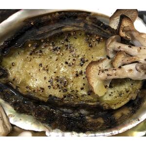 【2ヵ月毎定期便】竹中水産の大アワビ(400g)+アジ又は小鯛付き400g【H22-288】全3回【配送不可地域：離島・北海道・沖縄県】【4076449】