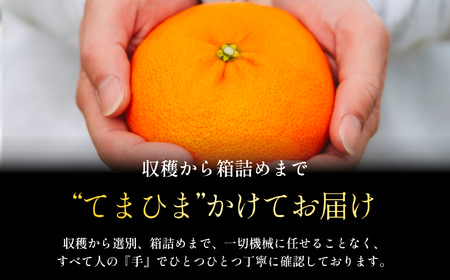 太陽の恵みがギュッと凝縮!【甘平3.5kg】弾ける甘さとシャキッと食感!【E70-143】【1688644】