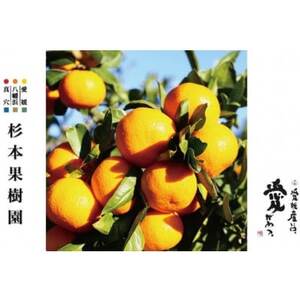 【家庭用】真穴、八寿みかん(南柑20号)3kg【A34-39】【1692444】