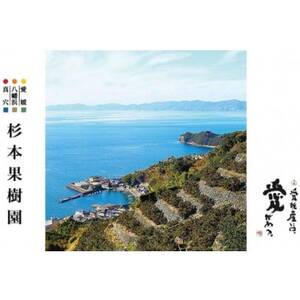 【家庭用】真穴、八寿みかん(南柑20号)3kg【A34-39】【1692444】