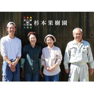 【家庭用】真穴、八寿みかん(南柑20号)3kg【A34-39】【1692444】