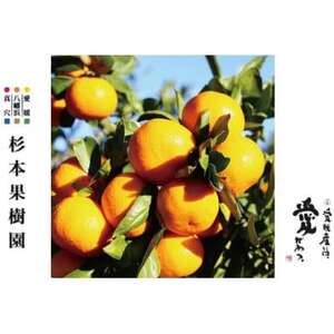 【家庭用】真穴、八寿みかん(早生温州)3kg【A34-37】【1692434】