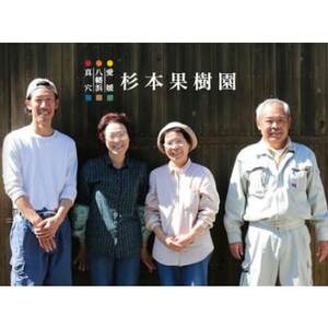 【家庭用】真穴、八寿みかん(早生温州)3kg【A34-37】【1692434】