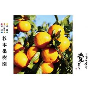 【家庭用】真穴、八寿みかん(早生温州)5kg【C34-38】【1692442】