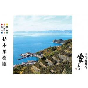 【家庭用】真穴、八寿みかん(早生温州)5kg【C34-38】【1692442】