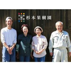 【家庭用】真穴、八寿みかん(早生温州)5kg【C34-38】【1692442】