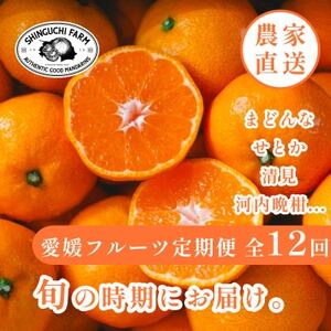 【発送月固定定期便】愛媛フルーツ旬の果物 みかん農家直送 まどんな せとか【H70-148】全12回【4078089】