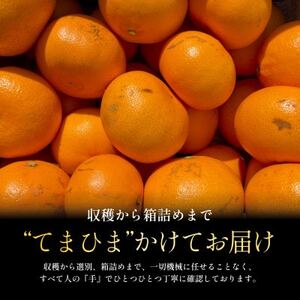 【数量限定】今シーズン発送!【訳あり】せとか 2.5kg【A70-155】【1707145】