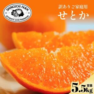 【数量限定】今シーズン発送!【訳あり】せとか 5.5kg【D70-157】【1707147】