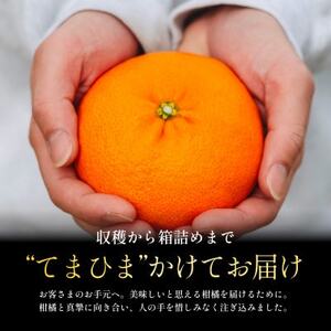 【贈答用】五代目が厳選した「完熟甘平」3kg【F70-160】【1707174】