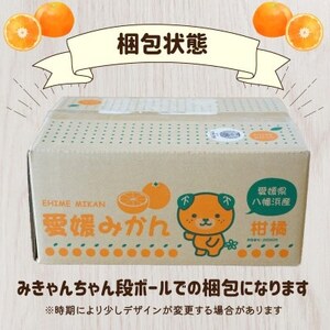 愛媛県八幡浜産 旬のかんきつ詰め合わせバラエティセット 計2kg【訳あり】【C25-293】【1704511】
