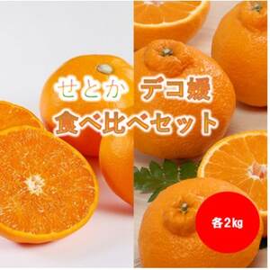 みさき果樹園の大人気せとか・デコ媛各2kg【C21-60】【1705372】 7,200円