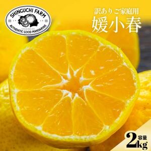 【数量限定】今シーズン発送!【訳あり】媛小春 2kg【A70-161】【1710481】