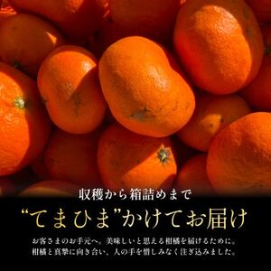 【数量限定】今シーズン発送!【訳あり】甘平 2kg【C70-164】【1710485】