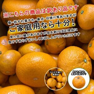 ★訳アリ★【数量限定500箱】　愛媛・小林果園のせとか　約5キロ【D24-38】【1711119】