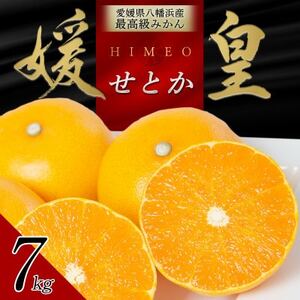 最高級みかん 媛皇 せとか 7kg 愛媛県 八幡浜市 西宇和地区 柑橘の女王【H25-296】【1712707】