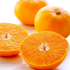 最高級みかん 媛皇 せとか 2kg 愛媛県 八幡浜市 西宇和地区 柑橘の女王【C25-307】【1713682】