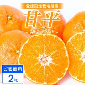 【ご家庭用】甘平 2kg 愛媛県 八幡浜産 西宇和地区 扁平で濃い味 新食感【C25-311】【1713687】