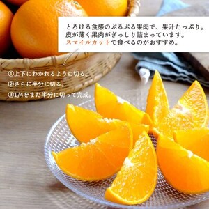 最高級みかん 媛皇 甘平×まどんな 7kg「紅プリンセス」と同品種 愛媛果試48号【H25-315】【1713691】