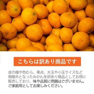 【ご家庭用】媛小春 2.5kg 愛媛県 八幡浜市 西宇和地区 希少な幻の柑橘【C25-323】【1714072】