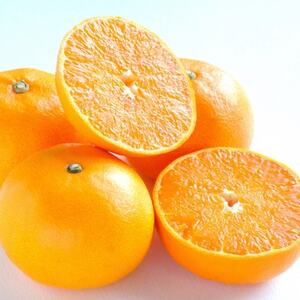 せとか 4kg 愛媛県 八幡浜市 西宇和地区 とろける濃厚果肉 柑橘の女王【E25-326】【1714494】