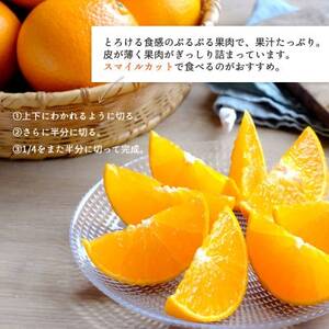 【訳あり】甘平×まどんな1.5kg 「紅プリンセス」と同品種 愛媛果試48号みかん【C25-376】【1715579】