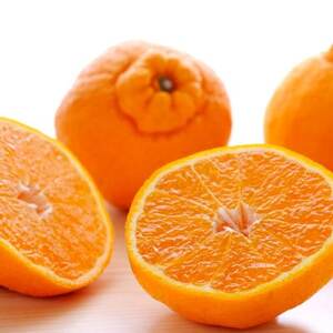 【訳あり】不知火 7kg みかん 愛媛県 八幡浜市 西宇和地区【D25-375】【1718387】