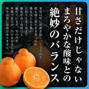 三代目の蔵出し極熟デコ5kg【D31-3】【配送不可地域：離島】【1042518】 YWTAC002