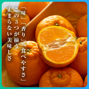 三代目の蔵出し極熟デコ5kg【D31-3】【配送不可地域：離島】【1042518】 YWTAC002