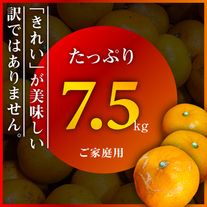 三代目がつくる愛媛みかん 7.5kg【訳あり(家庭用)】【D31-17】【1120067】 YWTAC009