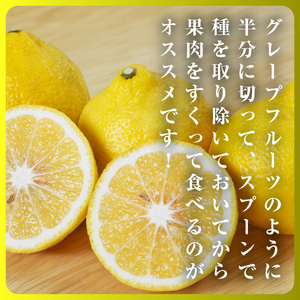 三代目のはるか4kg【D31-8】【1042520】 YWTAC005