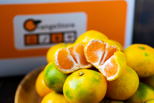 【太陽をたっぷり浴びた】極早生みかん【極】5kg【C49-33】【1508894】 YWTZ025