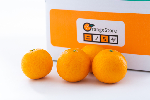 【太陽をたっぷり浴びた】清見タンゴール【極】4kg【C49-51】【1509748】 YWTZ043