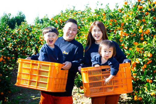 【太陽をたっぷり浴びた】ニューサマーオレンジ【極】4kg【C49-57】【1509760】 YWTZ049