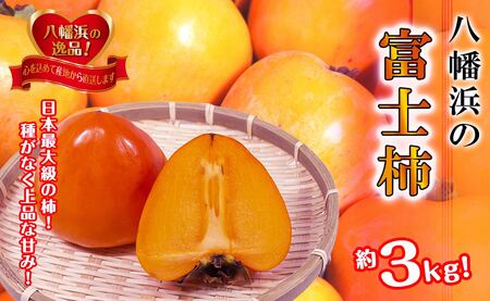 甘さにニッコリ!日本最大級の柿「富士柿」約3キロ【C39-72】【配送不可地域：離島】【1620371】 YWTF047