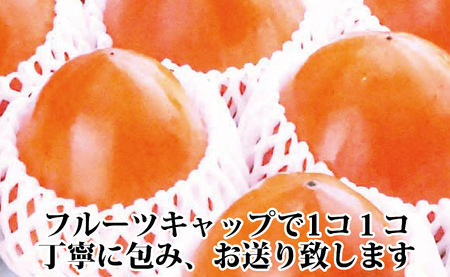 甘さにニッコリ!日本最大級の柿「富士柿」約3キロ【C39-72】【配送不可地域：離島】【1620371】 YWTF047