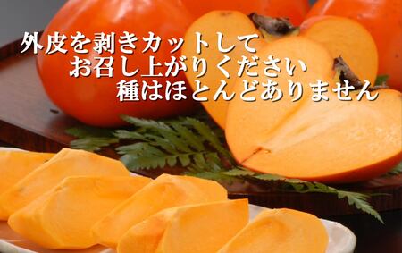 甘さにニッコリ!日本最大級の柿「富士柿」約3キロ【C39-72】【配送不可地域：離島】【1620371】 YWTF047