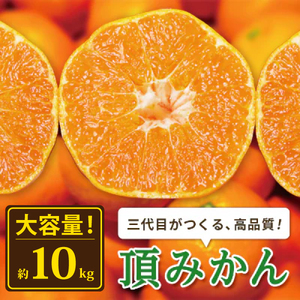 三代目がつくる高品質【頂みかん】10kg【F31-61】【1181951】 YWTAC050